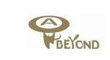Beyond Industry Groups Ltd