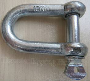 Zinc Plated European Dee Shackle of Marine Hardware
