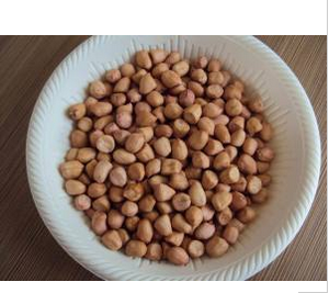 New Crop Good Quality Blanched Peanut Kernels- buying leads
