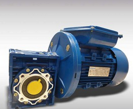 Nmrv Series Speed Transmission Gear Reducer with Electric Motor buying leads