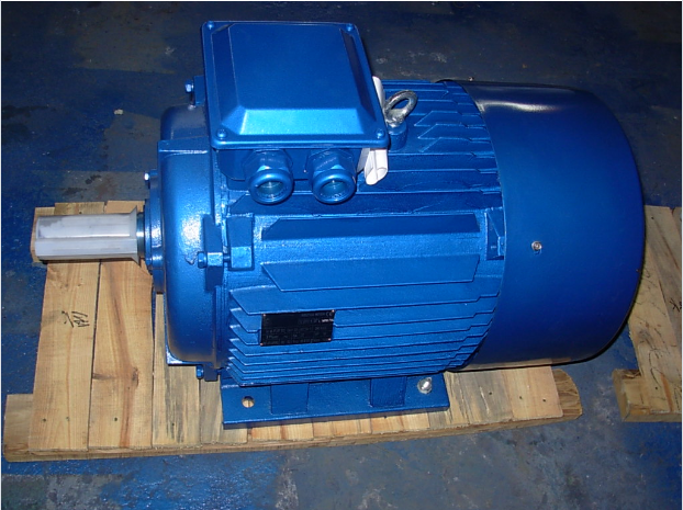 Y2 Series Three Phase AC Motor- buying leads